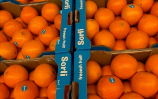 ORANGE  COLIS 8.37kg x 2.09€