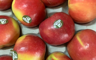 POMME Candine Bio France le colis 4.06kg x 2.88€