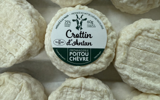 Crottins de chèvre x 3 pasteurisé