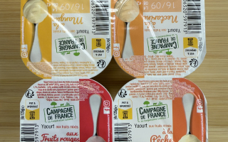 YAOURT AUX FRUITS MIXES X 4