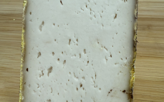 Tomme de brebis/chèvre chystera