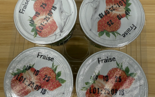 Yaourt fraise x 4 l'écureuil glacier