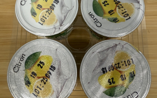 Yaourt citron x 4 l'écureuil