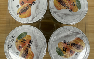 Yaourt abricot x 4 l'écureuil glacier