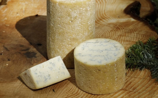Fourme de Montbrison