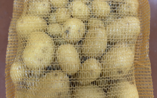 PDT AGATHA nouvelle France COLIS  soit  10.00 kg x 1.05€