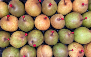 POIRE Passe Crassane colis 5.00kg x 2.20€