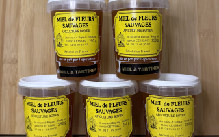 Miel à tartiner 250gr