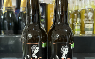 BIÈRE IPA LA VERTUEUSE 6° 33CL BIO