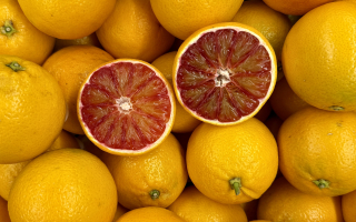 ORANGE SANGUINE espagne cal 6 CAT 2