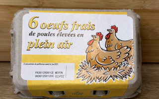 OEUFS PLEIN AIR X6