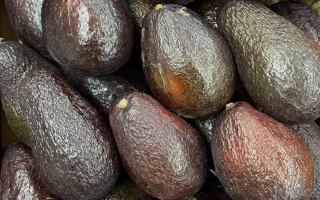AVOCAT Espagne   cal 22 lot de 3 pièces