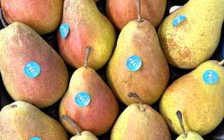 POIRE FRED COLIS soit 5.83kg x 3.43€