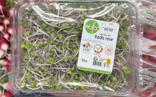 GERME DE RADIS BARQUETTE 85GR