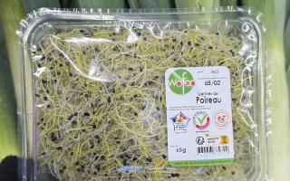 GERME DE POIREAUX BARQUETTE 65GR