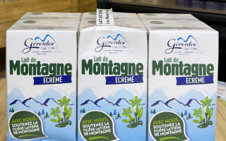 Lait écrémé Gérentes 1 x 6 Litres