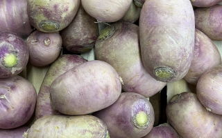 RADIS BLUE MEAT FRANCE