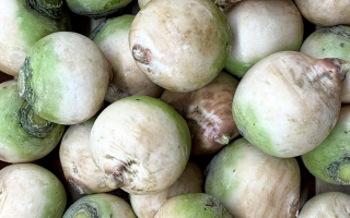 RADIS RED MEAT FRANCE