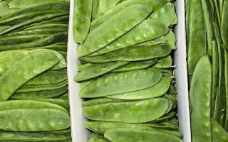 POIS MANGETOUT france vrac cat 2