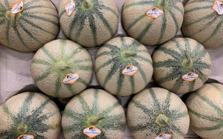 MELON GROS ESPAGNE CAT2 PIECE 1 KG