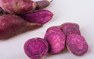 PATATE DOUCE CH VIOLETTE USA CAT 2
