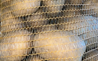 Pomme de terre spéciale frites sac 10 kg x 1.10€ France