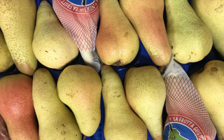 POIRE Abate cal 18 italie COLIS 4.00kg x 3.75€