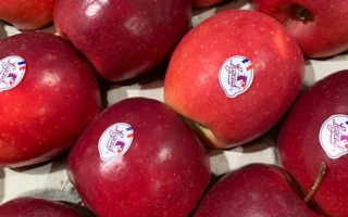 POMME legend France cal 200 cat 2