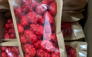 PRALINE ENTIERE  PQT 500 GRS