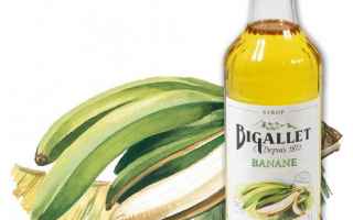 Sirop de Banane Bigallet (1l)