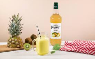 SIROP KIWI  BIGALLET 1L