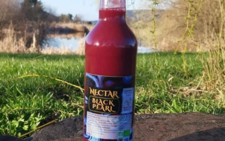 NECTAR CASSIS BIO 50CL
