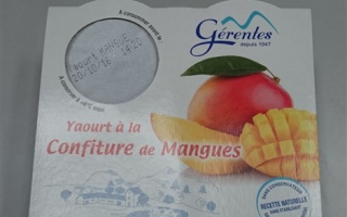 Yaourt sur lit mangue gérentes (4x125gr)