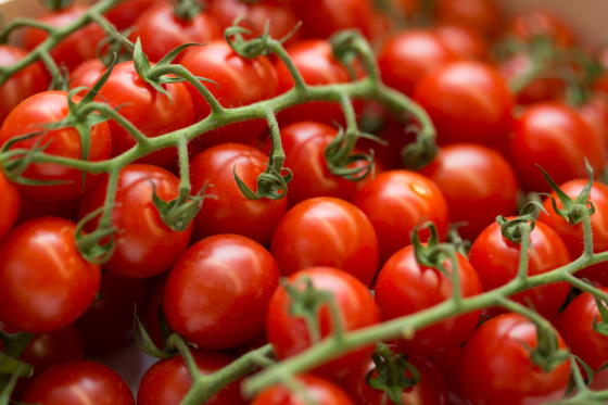 TOMATE CERISE GRAPPE espagne cat 2 - Salades, tomates, courgettes,  poivrons, aubergines - Légumes - Au jardin de Johana