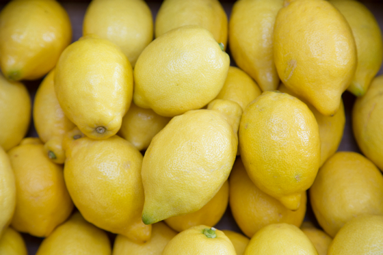 Citron Jaune Espagne Cat 2 Agrumes Fruits Bio Au Jardin De Johana Citron Jaune Espagne Cat 2 Agrumes Fruits Bio Au Jardin De Johana