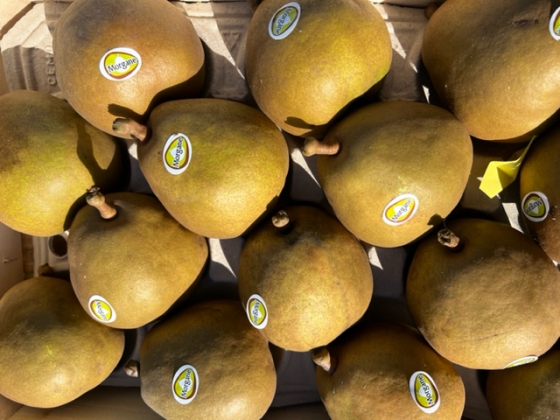 Poire morgane